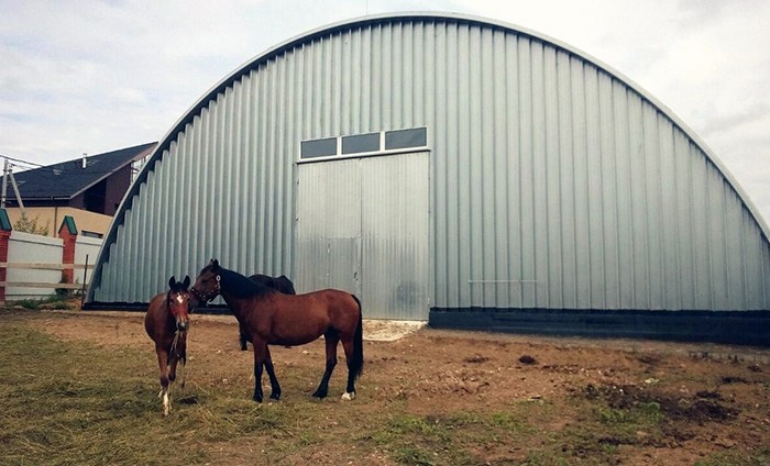 Строительство конных и конноспортивных манежей в Дедовске и по России